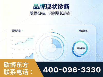 九江-品牌现状诊断