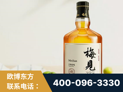 九江-梅见青梅酒